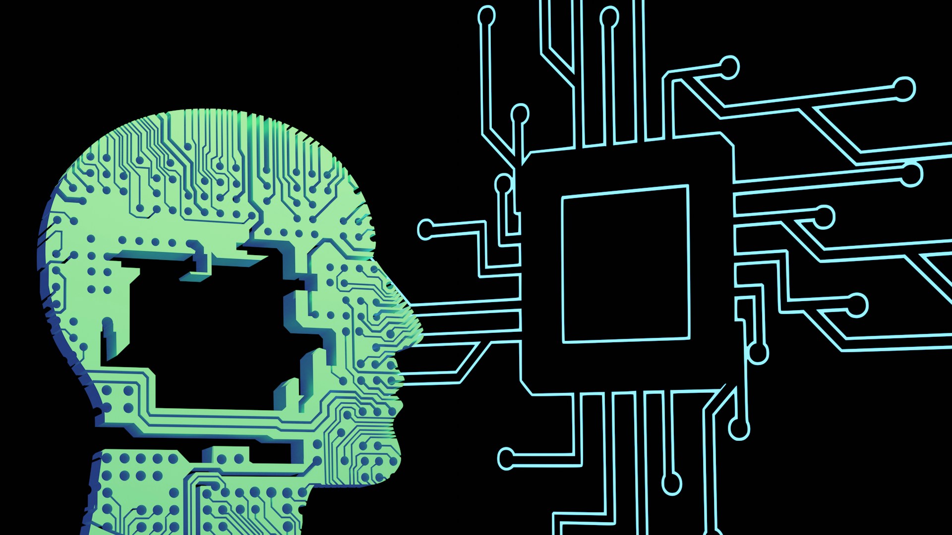 human review of AI outputs